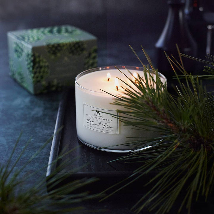 Soap & Paper Factory - Roland Pine Three-Wick Soy Candle