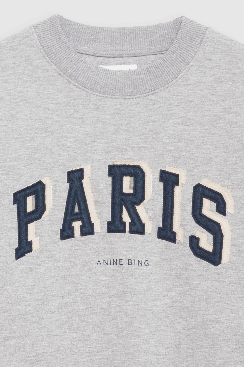 Anine Bing Tyler Sweatshirt -Paris